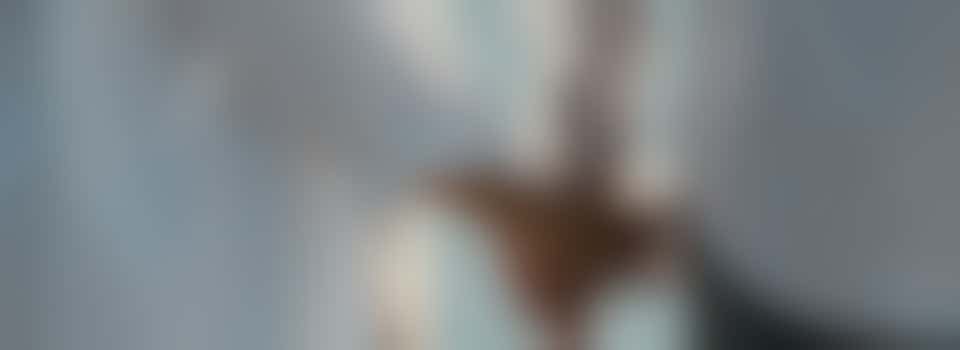 Kom jij mevrouw gezellig bezoeken?