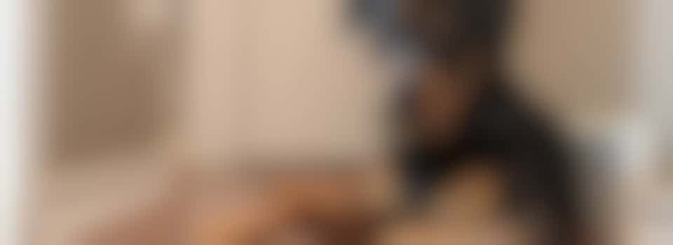 Wie komt Sasja uitlaten? (voor mevrouw, 74 jaar)