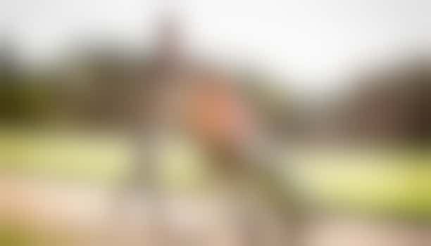 Wie brengt mevrouw naar haar vrijwilligerswerk in de bibliotheek?