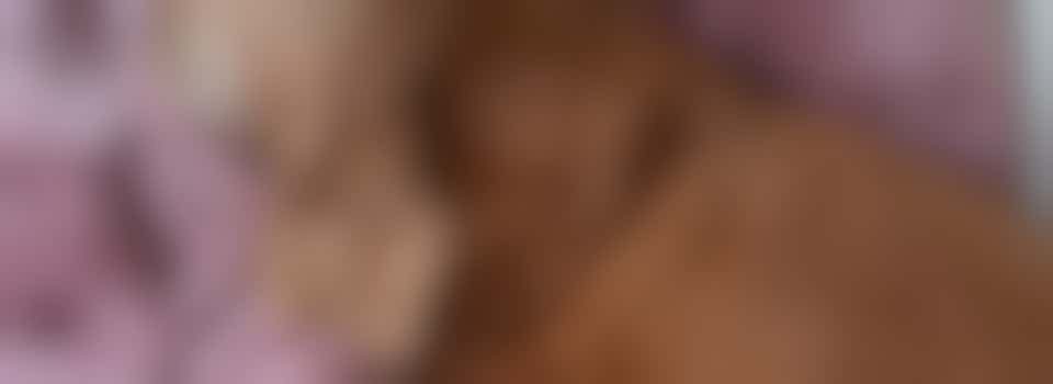 Gek op dieren? Kom dan samen Tinkerbell uitlaten!