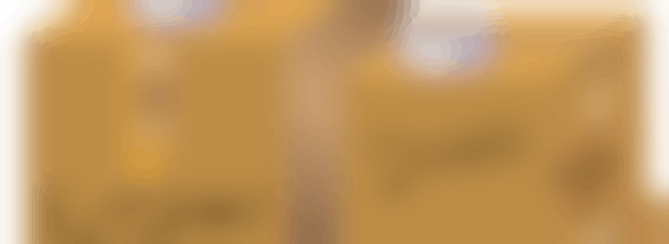 Dringend hulp gezocht bij leeghalen woning!