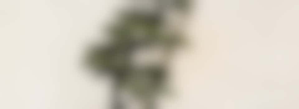 Samen de tuin doen, kom jij meneer helpen?