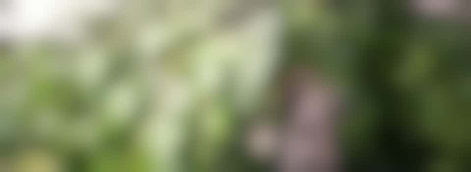 Help dit lieve echtpaar met het opnieuw indelen van hun tuin!