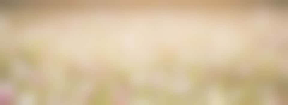 Tuin van 5 bij 5 onkruid vrij maken in Wervershoof