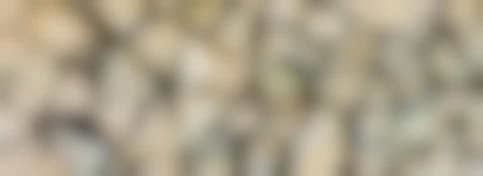 Heb jij spierballen of wil jij deze juist creëren? Kom mevrouw helpen!