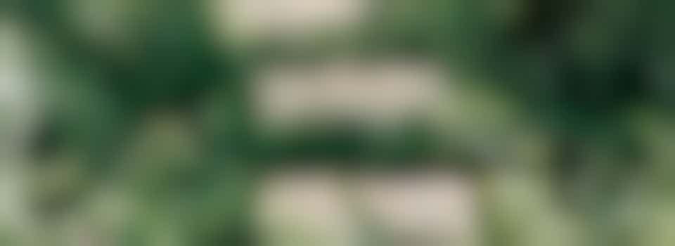 Veilig naar buiten en lekker zitten in de tuin, dat moet toch mogelijk zijn?