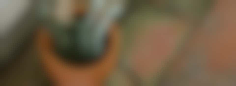 Help jij deze 76 jarige meneer zijn kleine tuin weer op orde te brengen?