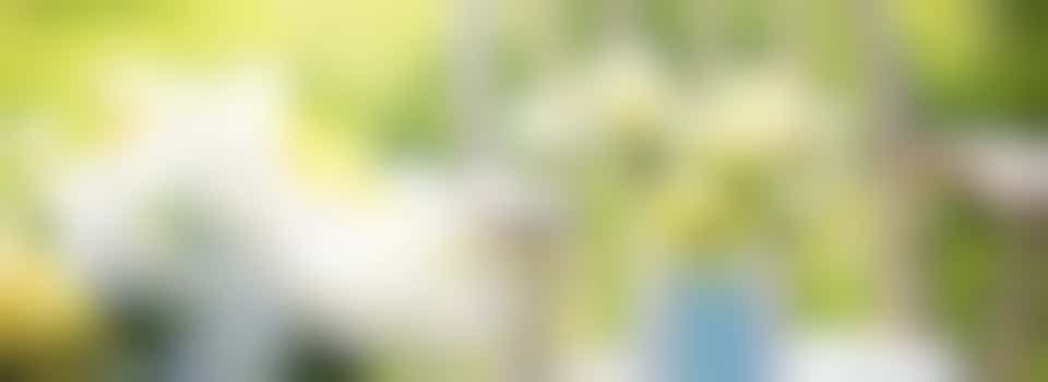 Mevrouw is 97 jaar en op zoek naar jouw groene vingers!