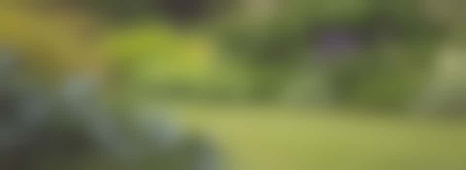 Deze tuintjes roepen om groene vingers!