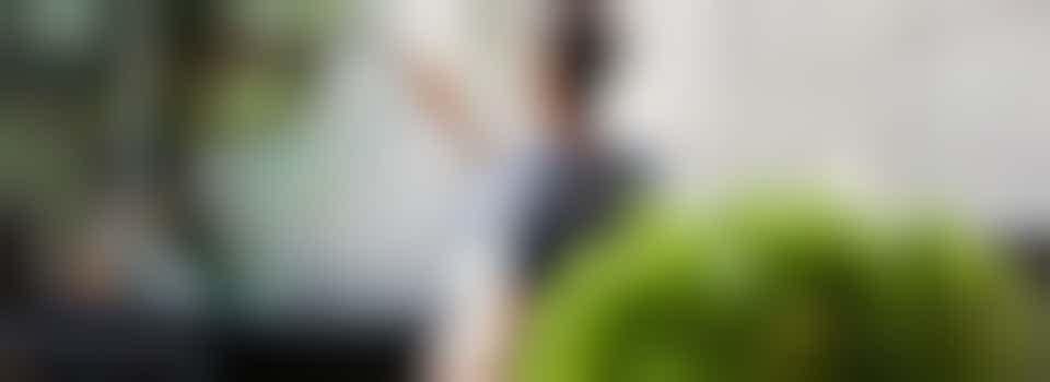 Zou jij de ramen willen lappen bij mevrouw?