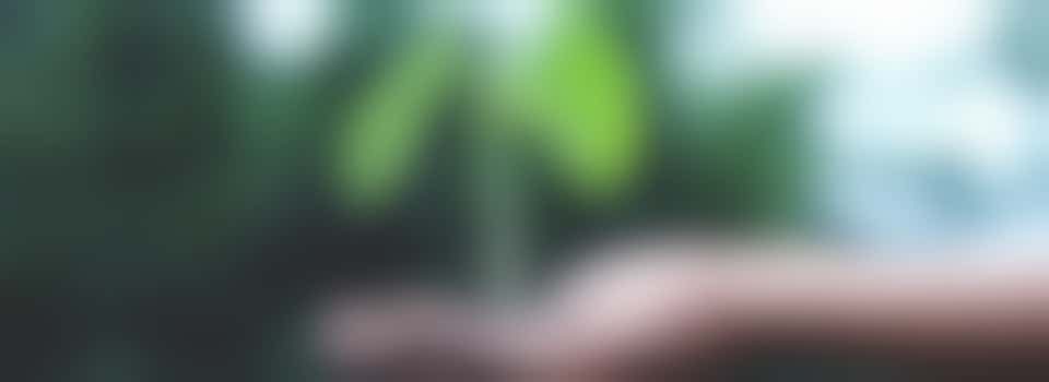 Laat die groene vingers nog 1x los gaan deze (na)zomer!