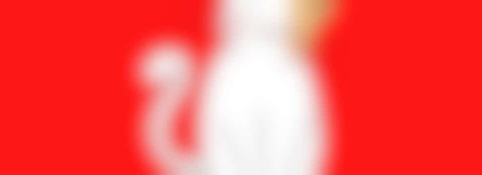 Kat wil graag een schone bak. Ben jij de dierenliefhebber die helpt?