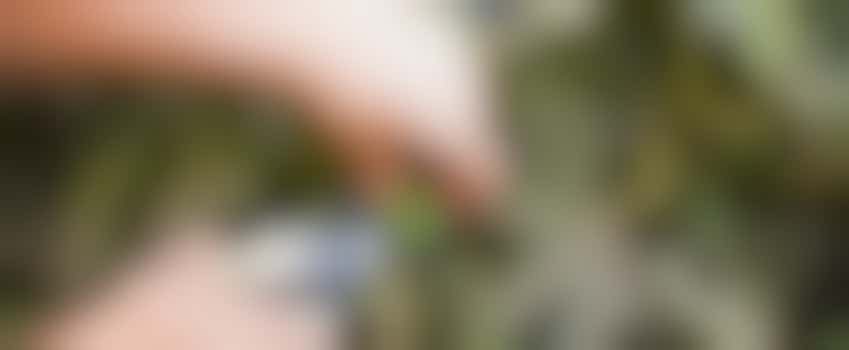 Dame met ALS uit Ursem kan jouw hulp in de tuin goed gebruiken. Heb jij tijd?