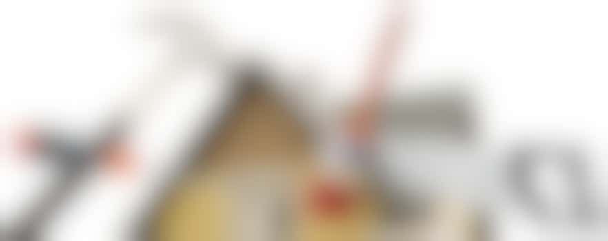 Ben jij die fanatieke klusser?