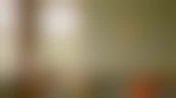 Red jij het behang dat een eigen leven lijkt te leiden?