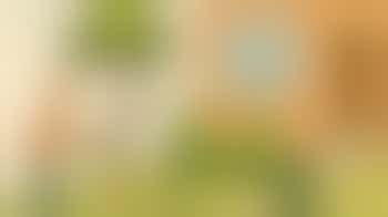 Nu is hét moment: help met een kleine snoeiklus in de voortuin