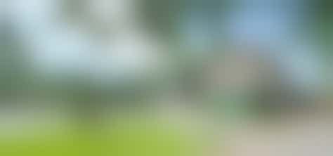 Op zoek naar een maatje