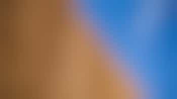 Hulp gezocht: schutting plaatsen en een glimlach scoren 💪