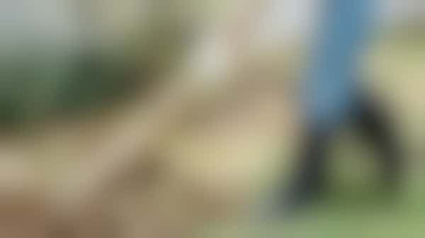 Tuin opknappen en netjes maken in Enkhuizen!