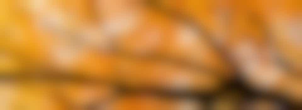 Bomen snoeien in de tuin van dit lieve echtpaar.