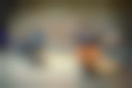 Waterliniemuseum Fort bij Vechten