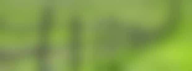 Dialoog: Grenzen stellen of verleggen