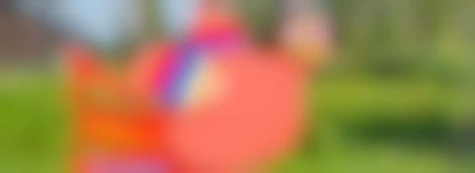 Leidsche Rijn Festival zoekt vrijwilligers