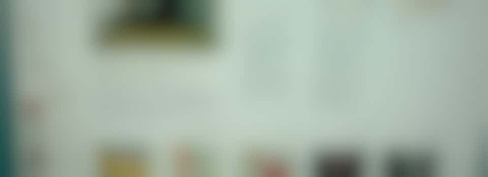 Webmaster bij de vrouwenbibliotheek