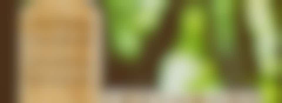 In Gesprek: Creatief Thuisleven