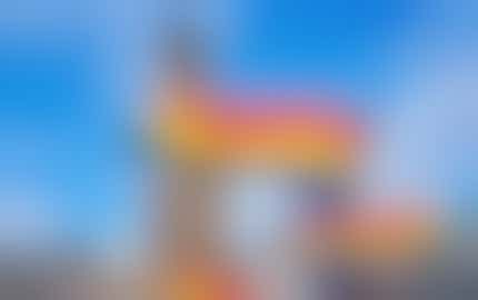 Zijn wie je bent / Being who you are