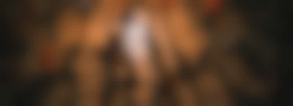 Soos vrijwilliger gezocht!