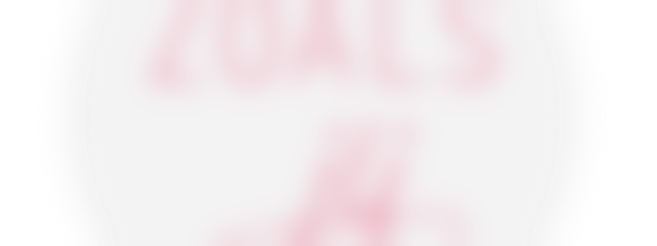 Maatjes voor tienermeiden gezocht