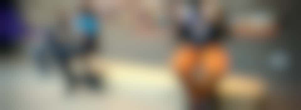 Cultuur liefhebbers voor het Waterliniemuseum Fort bij Vechten