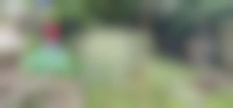 Moestuinproject met vluchtelingen