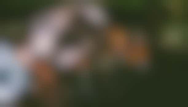 In de tuin aan de slag