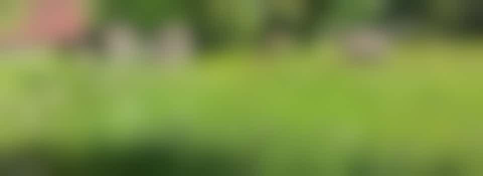 Verantwoordelijk voor het roosteren en contact met de scholen van Het Vogelnest op Rhijnauwen