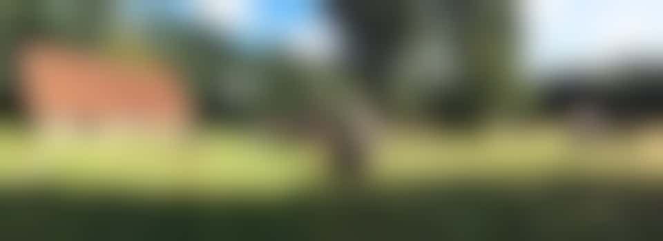 Timmermannen voor het repareren en schilderen van houten speeltoestellen.