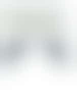 Steunpunt Midden Holland