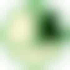 Schoonmaker/ster kantine